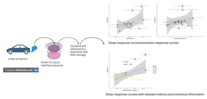 infografica risultati studio degli effetti dell'inquinamento sulle cellule epiteliali bronchiali