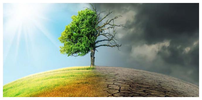 Immagine di copertina del webinar