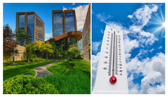 urban vegetation