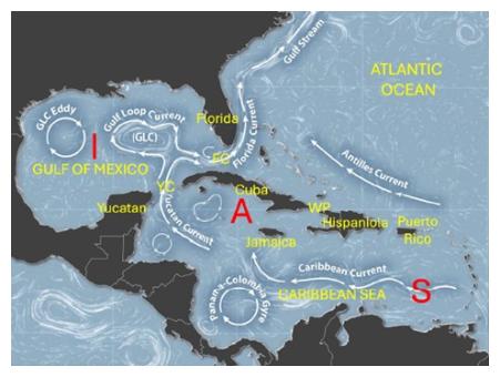Circolazione oceanica Cuba Circolazione oceanica Cuba