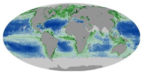 clorofilla negli oceani