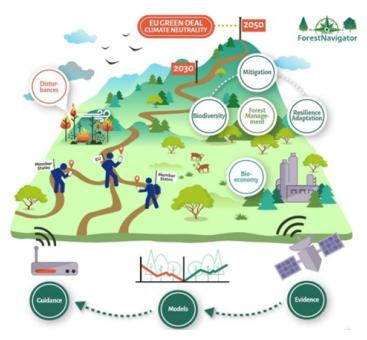 Schema Forest Navigator