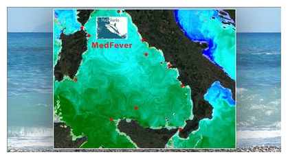 immagine del mediterraneo