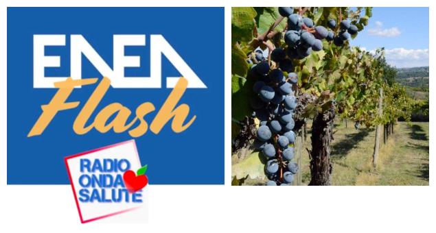 Servizi Climatici in agricoltura