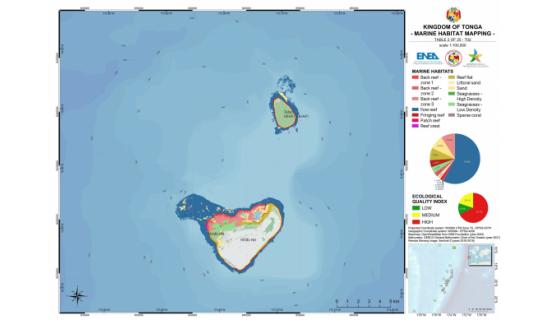 Marine Habitat mapping