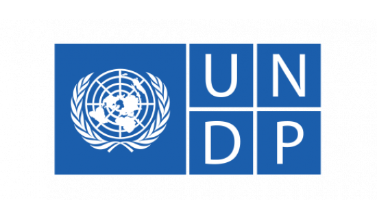 Logo UNDP