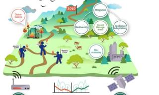 Schema Forest Navigator