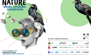 illustrazione con uccelli
