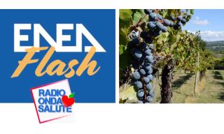 Servizi Climatici in agricoltura