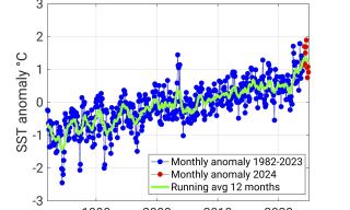 Temperatura Mar Mediterraneo