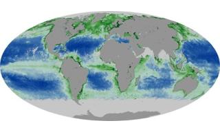 Distribuzione media globale della concentrazione di clorofilla negli oceani, derivata da osservazioni satellitari. Source: https://earthobservatory.nasa.gov/global-maps/ clorofilla negli oceani