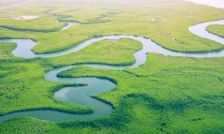 fiume e vegetazione fiume e vegetazione