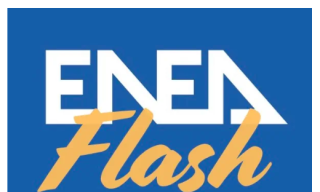 logo enea flash